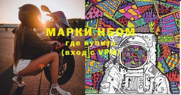 прущие грибы Магас