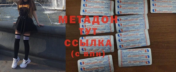 прущие грибы Магас