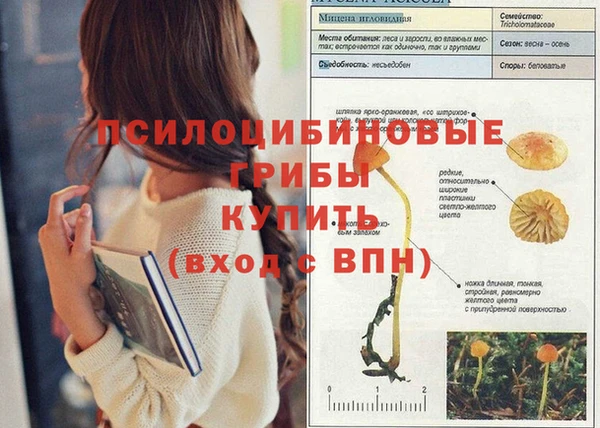 кокаин премиум Магадан