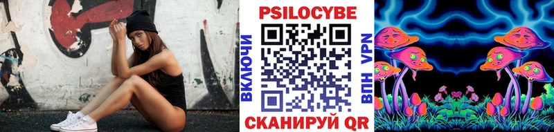 Псилоцибиновые грибы Psilocybine cubensis  Духовщина 
